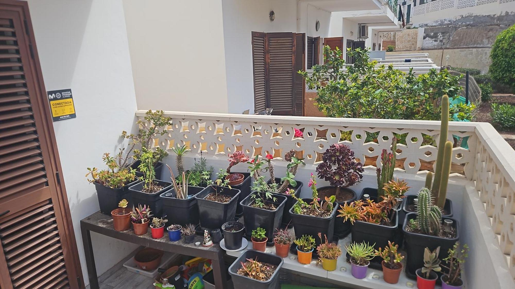 Renovated Villa In Las Americas Sea Coast 플라야데라스아메리카스 객실 사진